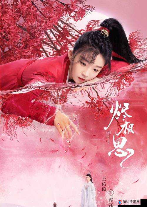 国产 A 级毛片久久久久久电视剧:情与欲的交织