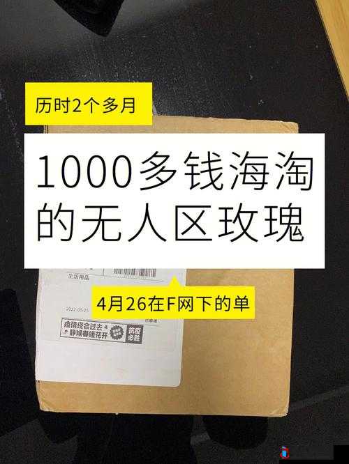 无人区一码二码三码 4 码区:探索未知领域的神秘代码组合