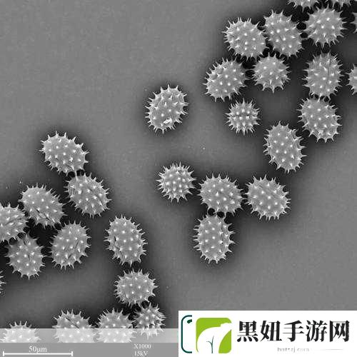 探索我的世界微观世界最小生物排行大揭秘蠹虫意外落榜