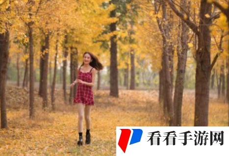 牧场Zoom与动物Zoom最新版本