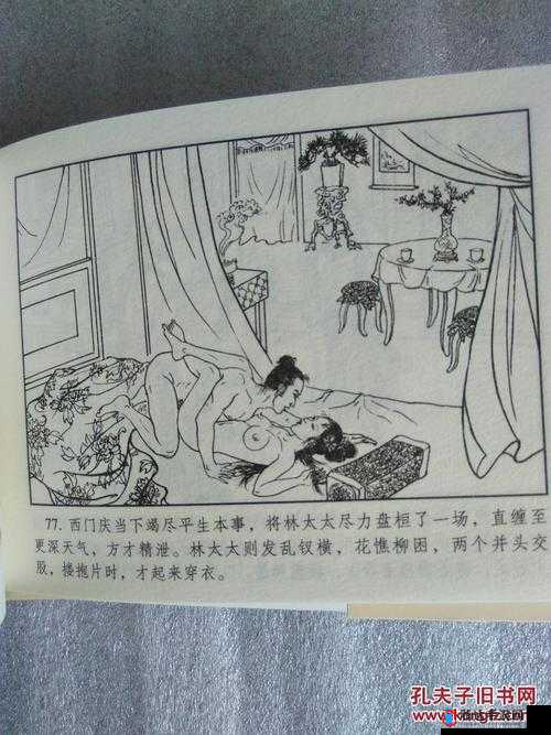 林太太府中逢甘雨原文探寻:深度解析背后的文化内涵