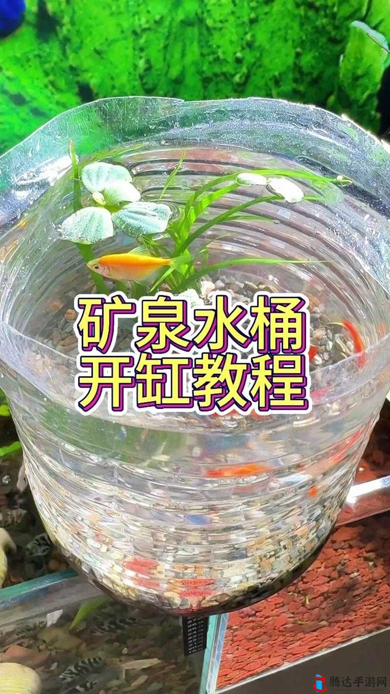 我的世界鱼缸制作教程:步步打造精美鱼缸