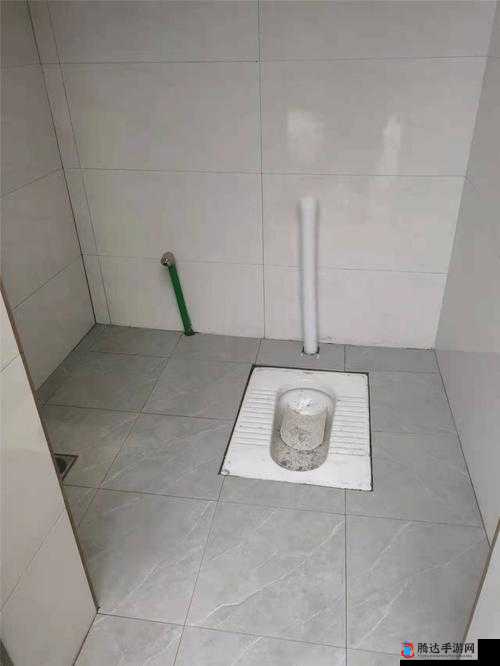 纸箱厂沟厕后拍摄现场曝光引发关注