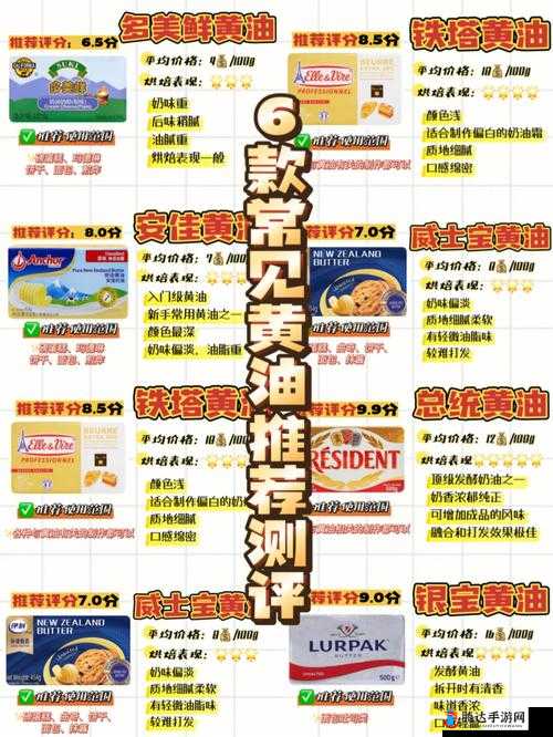 100 款禁用小黄油:深入探究其被禁背后的原因
