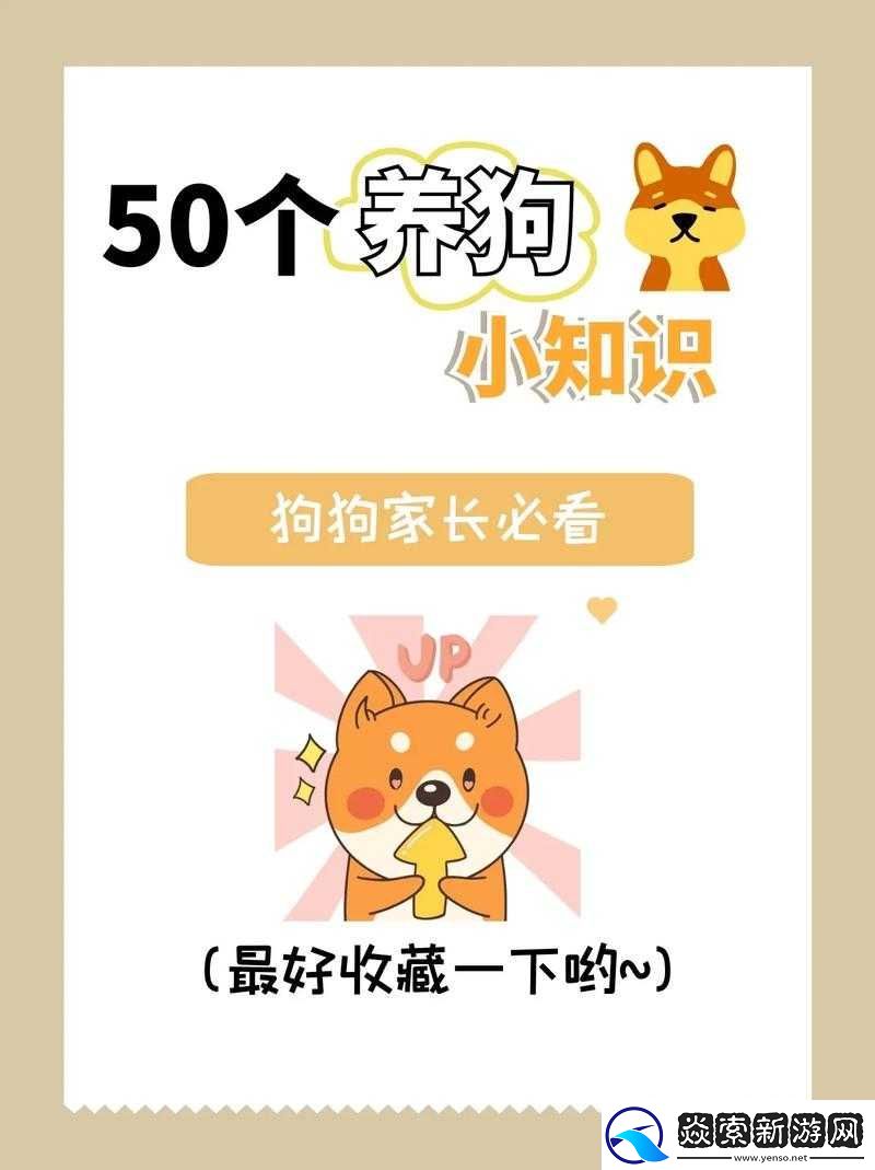 狗狗配人后几天不疼的解决方法以及后续相关注意事项