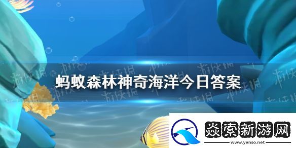 气泡珊瑚通常在什么时间呈现出鼓起来的状态