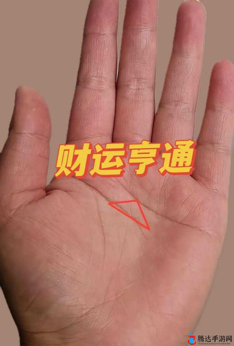 水果派社内**实习生:**的秘密实习