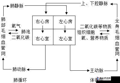 深度解析:缺氧环境下的电力与氧气循环系统构建详解