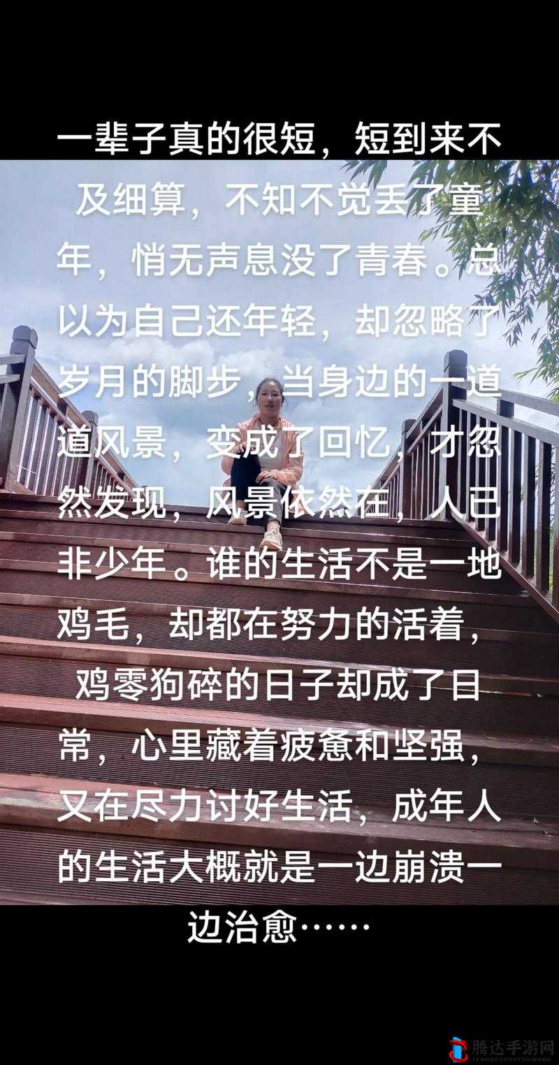 几个老婆婆的 BGM 视频:岁月之声的回响