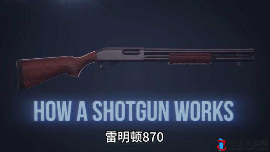 无限法则下的雷明顿870:属性与伤害深度解析