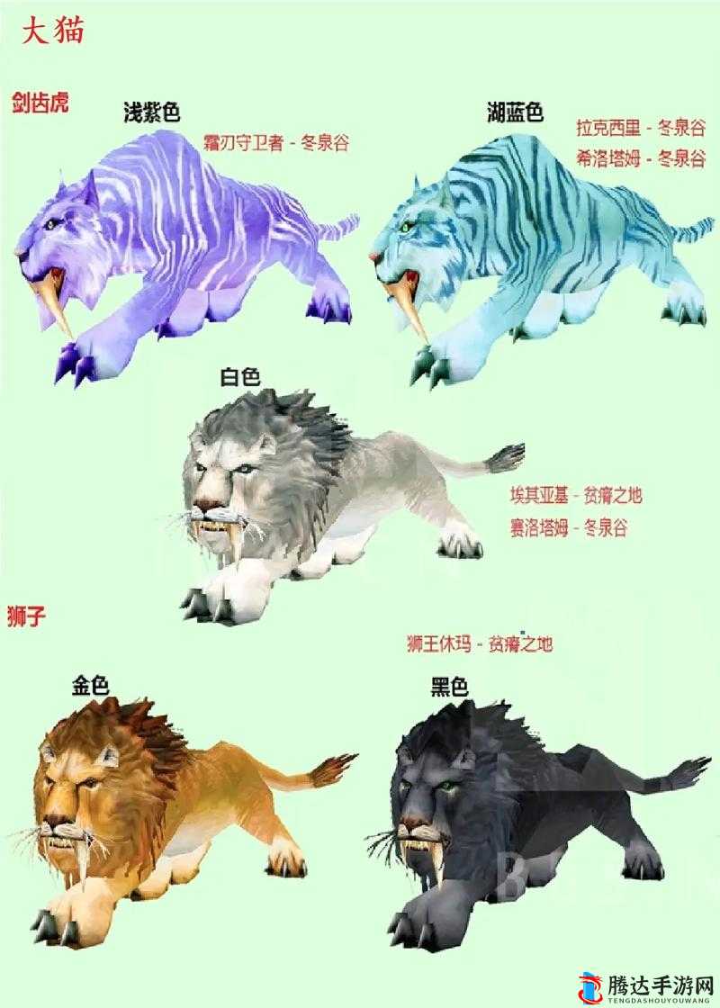 魔兽世界猎人稀有宠物坐标大揭秘:珍稀伙伴全搜罗
