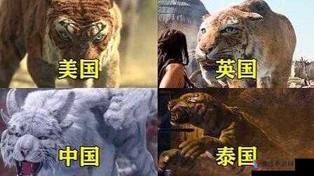 四虎黄色带来别样视觉冲击