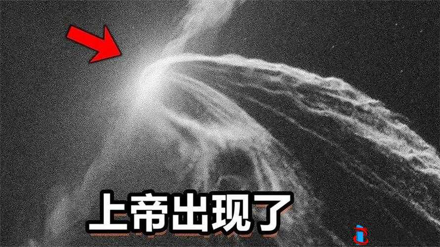 7x7x7x 任意噪 Cjwic 详细说明:揭秘神秘领域