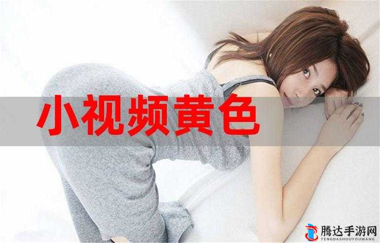黄色视频网站免费下载资源分享