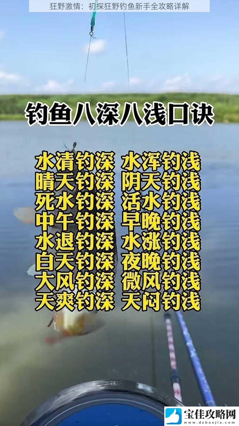 狂野激情