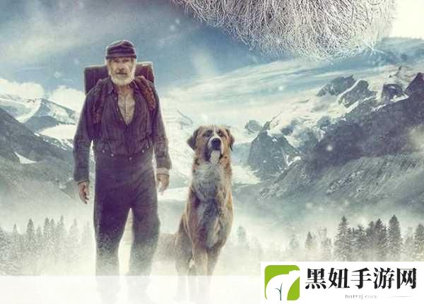 野性的青春:1. 野性的青春:追寻自由的灵魂之旅