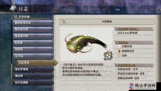 伊苏8大琵琶鱼钓鱼攻略:最佳钓点位置览