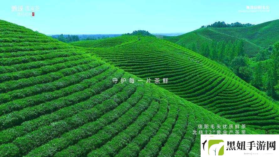 仙踪林
