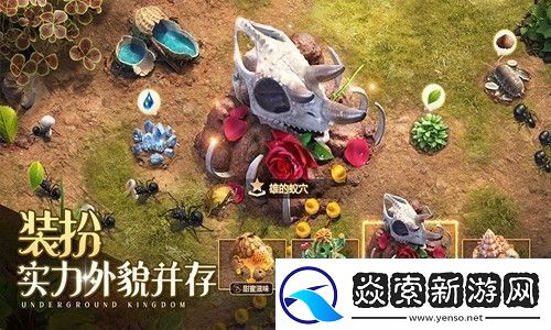 小小蚁国仓库保护怎么提升