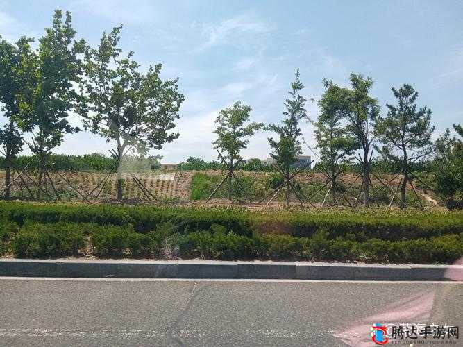 家有三个媳妇陈淑蓉婆媳关系的深度解析