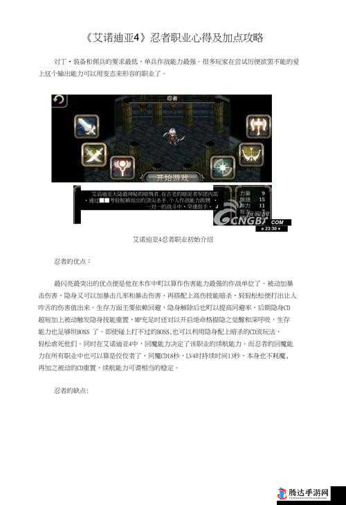 艾诺迪亚 4 忍者职业攻略:进阶技巧深度剖析