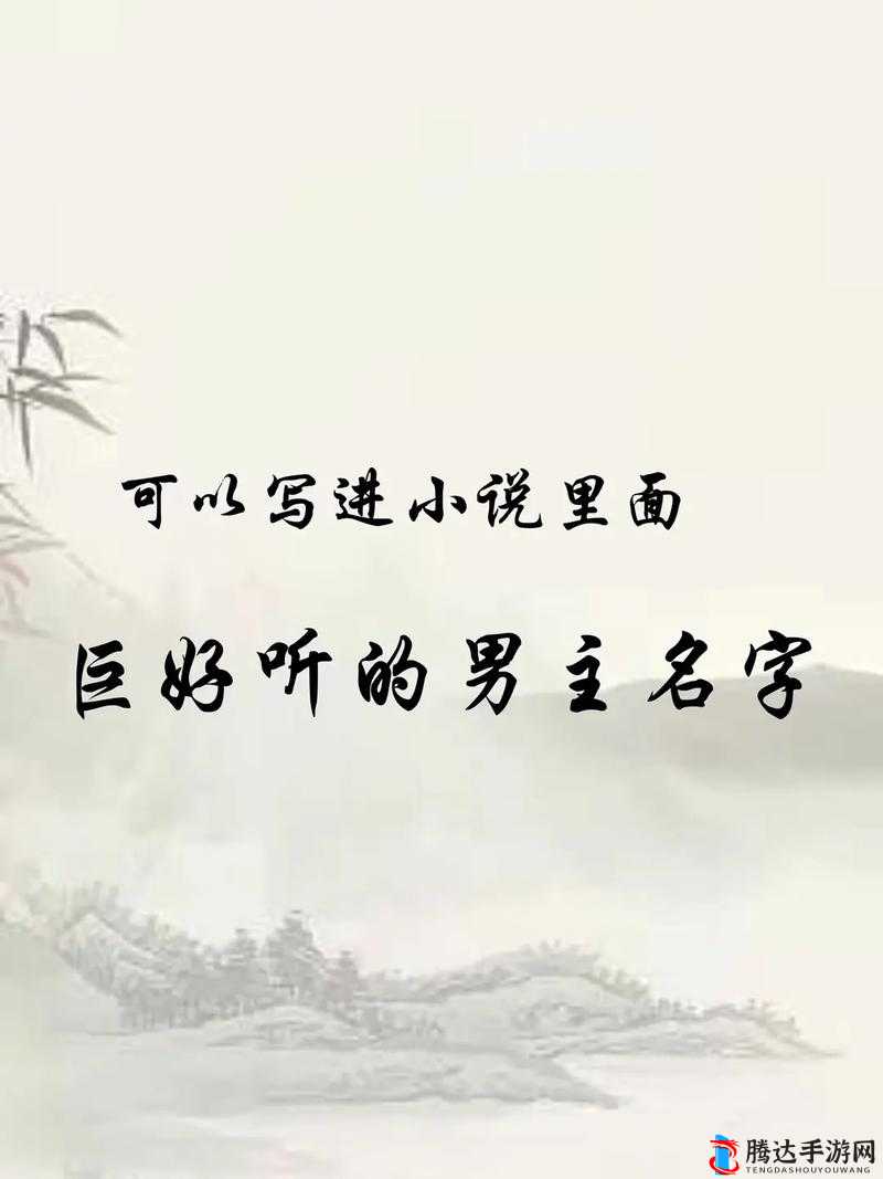 双男主高清素材大全:热血江湖与侠义恩仇