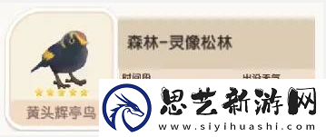 心动小镇黄头辉亭鸟位置在哪