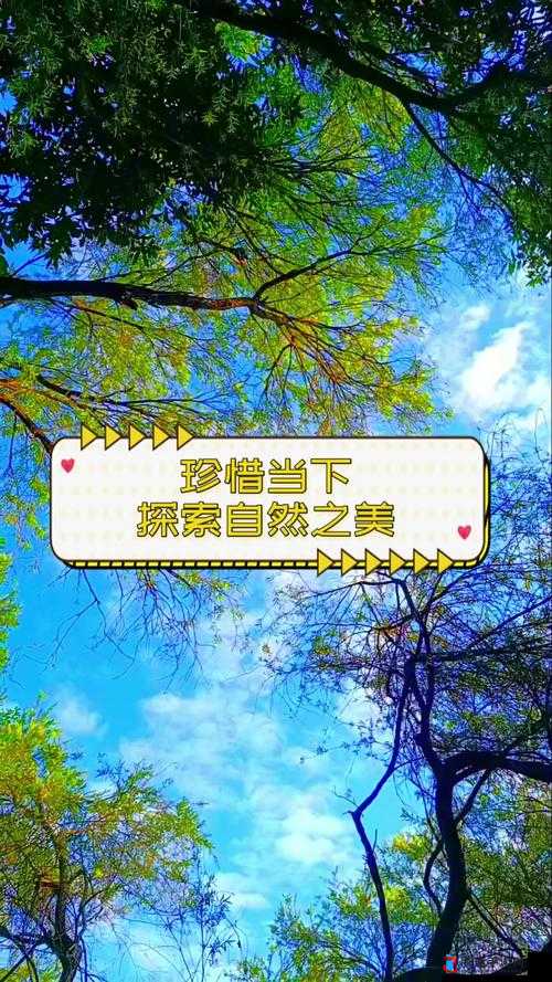 仙踪林:探索自然之美