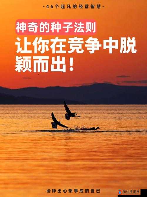娇小xxxx:如何在竞争中脱颖而出