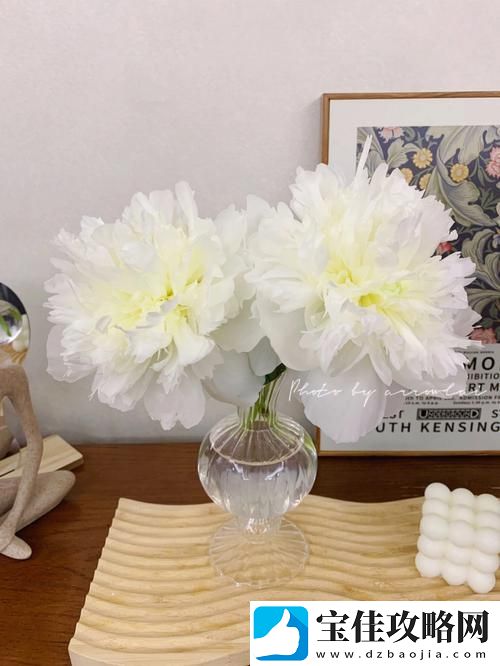 双阳插花芯