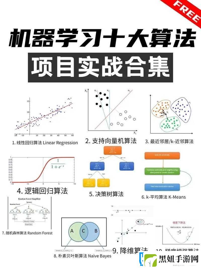 从入门到精通
