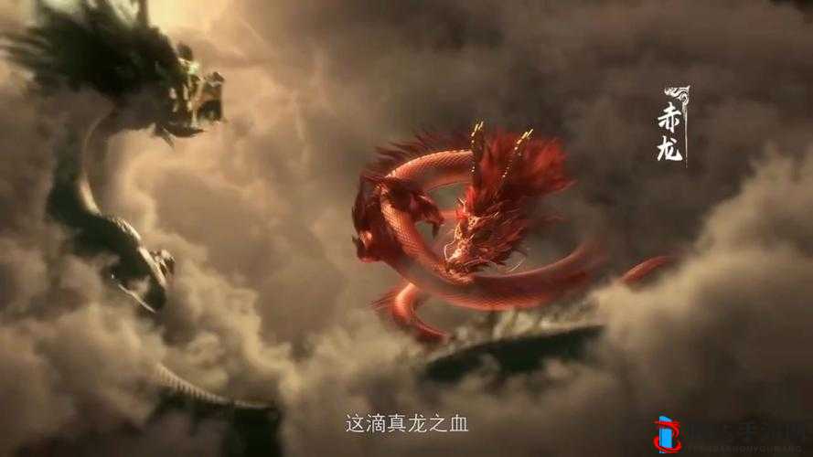 英雄无敌战争纪元地下城终极兵赤龙详解:全面解析赤龙的属性、技能与培养策略