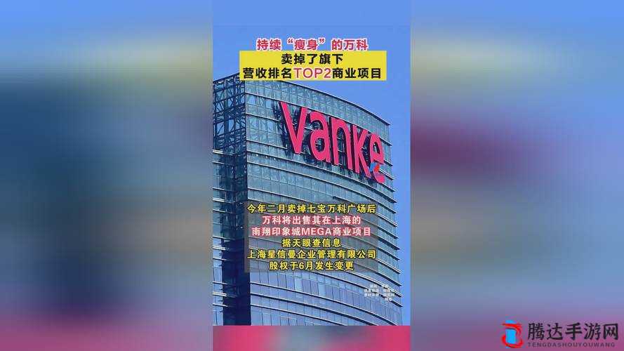17c起草红桃国际：相关介绍