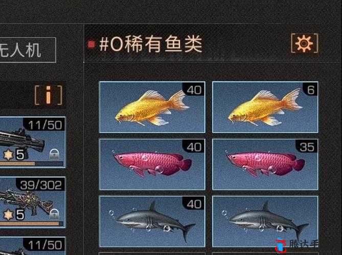 明日之后新手钓鱼攻略:教你轻松玩转钓鱼