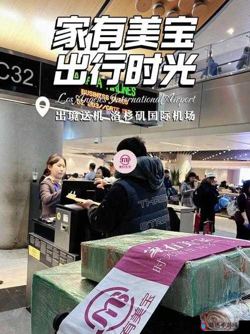 DX77 大象回家:踏上温馨归途