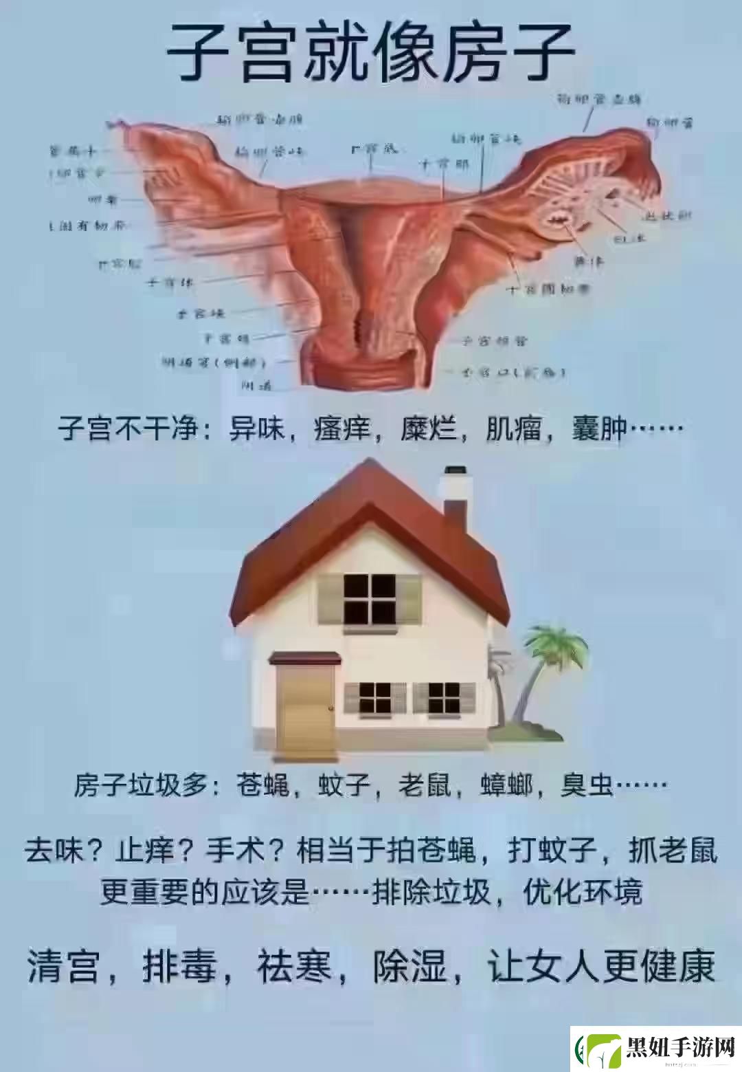 女性的秘密花园飘出银丝谜团