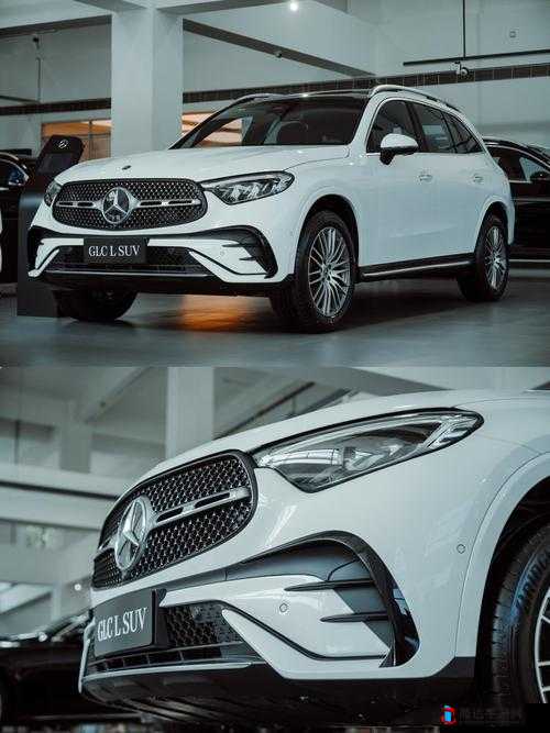 欧美性 SUV:畅享极致驾驶体验