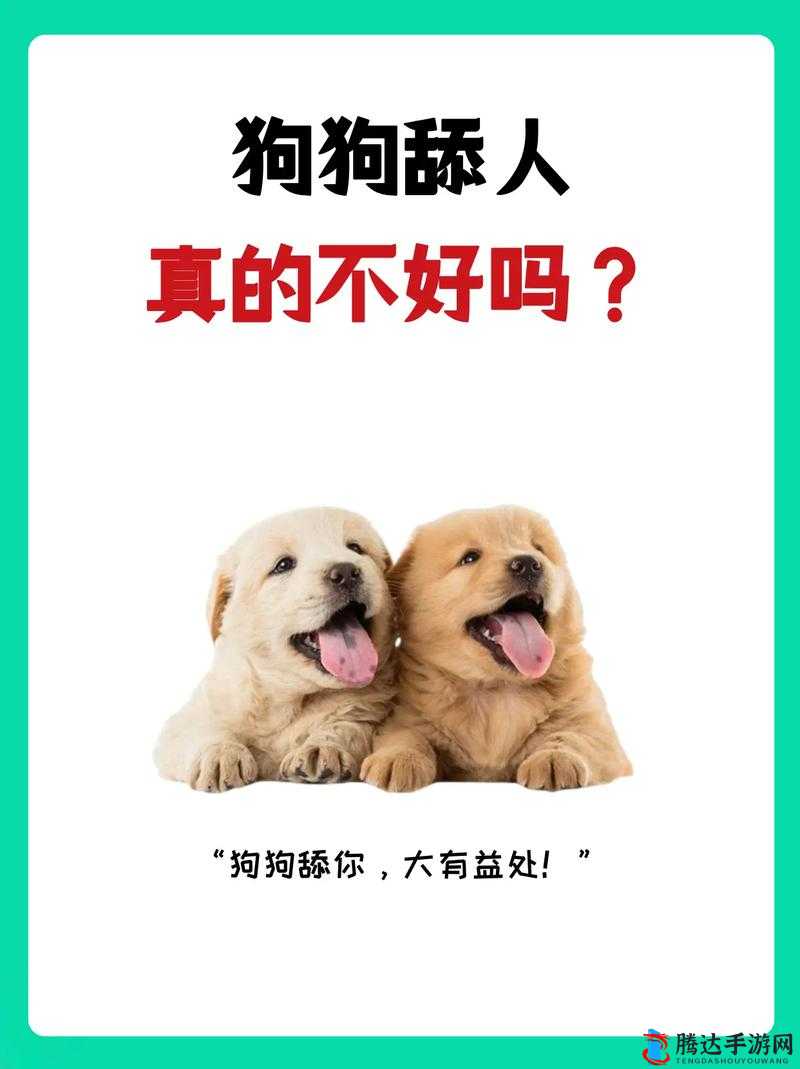 别舔了,水都出来了:这样的行为是否合适?