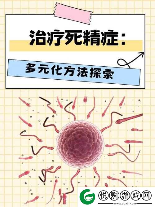 探索精二和精三的深度对比