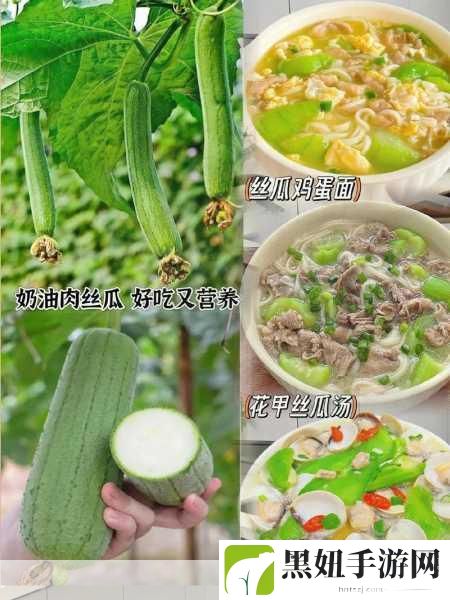 鸭脖娱乐向日葵丝瓜app最新版:1. 探索鸭脖娱乐:向日葵丝瓜app的精彩世界