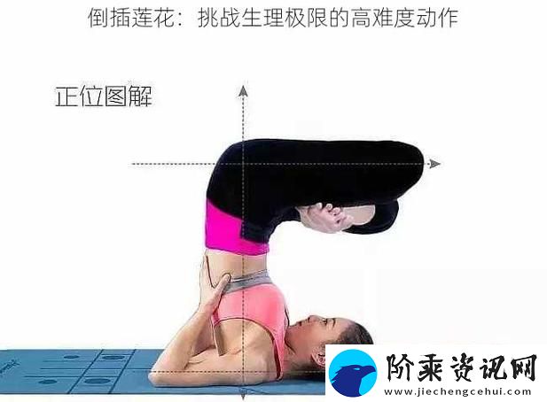 探索“倒插莲花图片”的艺术魅力与文化象征