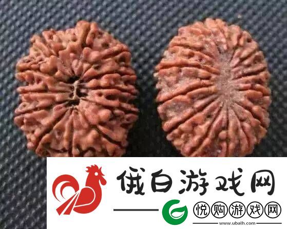 辨别金刚菩提真假