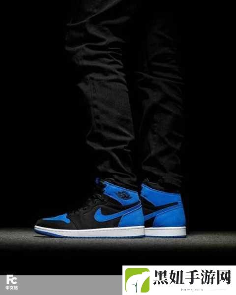 AIRJORDAN重口只有付费才能访问:1. 深入了解AIRJORDAN重口,付费会员专属内容解析