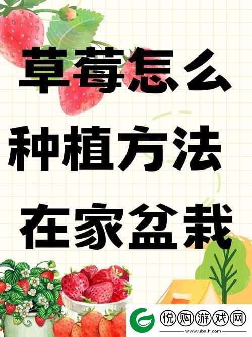 探讨“将草莓放在小洞里榨草莓汁可以吗”这件事的科学与实践