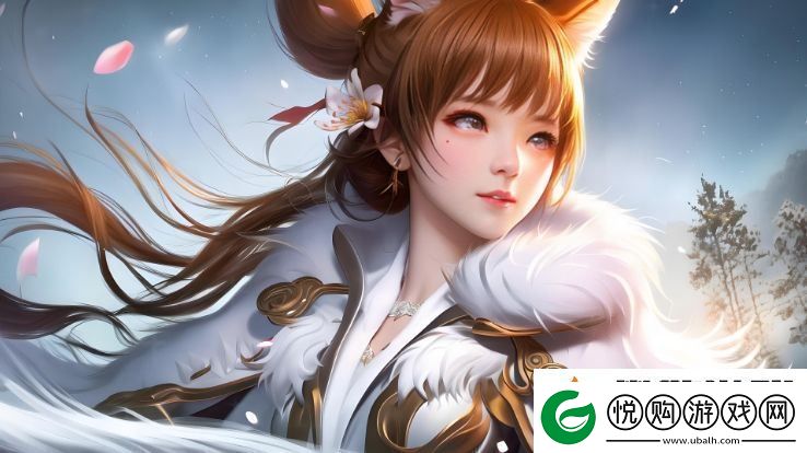 精华区二区和88888金三角的区别与投资分析