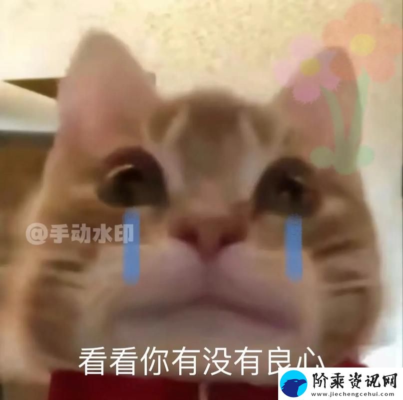 细数男人把QQ号放进女人表情包里