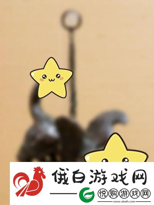 新体验独特之旅