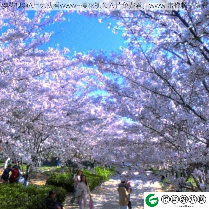 樱花视频A片免费看www—樱花视频