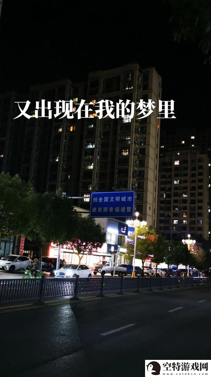 今夜很长想把你做进我的梦里