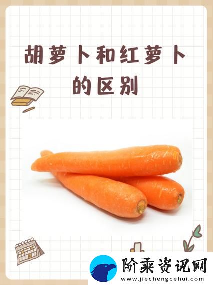 女的用胡萝卜用大头还是小头